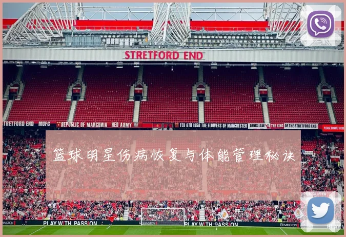 篮球明星伤病恢复与体能管理秘诀